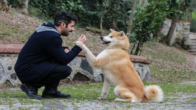 Ramo'nun yıldızı Rüzgar Aksoy'un eli parçalanmıştı! Savcılık harekete geçti - Resim: 3
