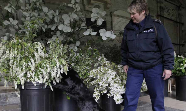 Yüzyılın düğününe böyle hazırlandılar - Resim: 4