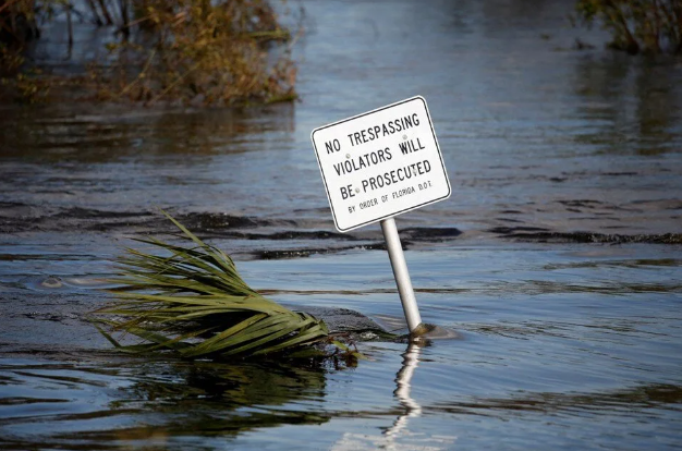 İnsan eti yiyen bakteri kabusu! ABD'de vakalar katlandı 2 yolla bulaşabiliyor - Resim: 3