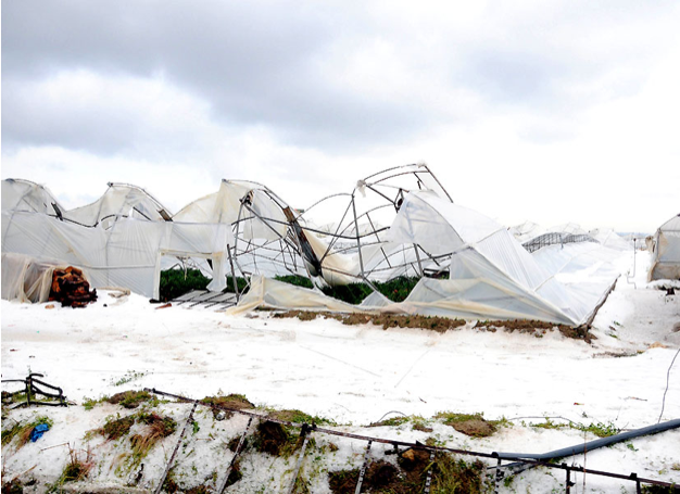 Dolu ve sel Antalya'yı bu hale getirdi - Resim: 2