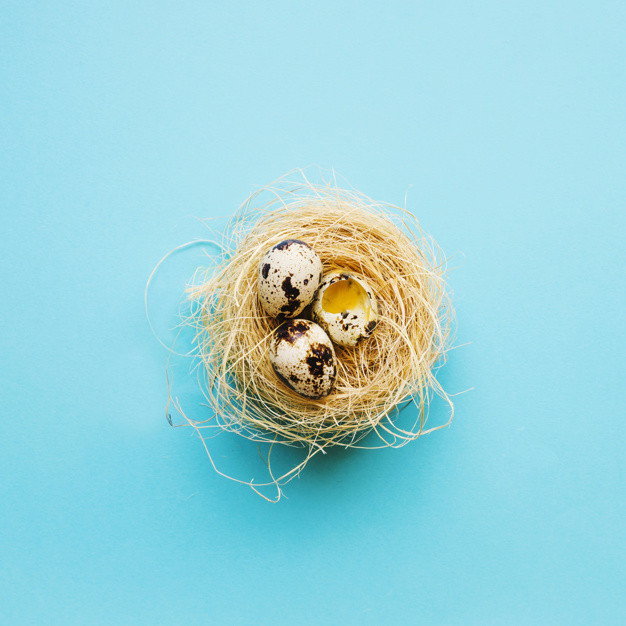 Bıldırcın  yumurtası nasıl yenir? Faydaları nelerdir? - Resim: 2