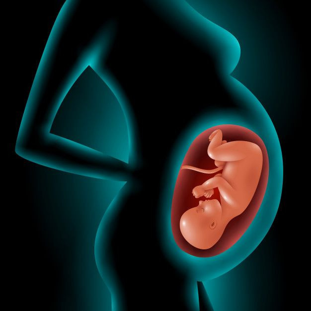 Amniyon sıvısı nedir azlığı ve fazlalığının zararları ile dengelemenin yolları - Resim: 1