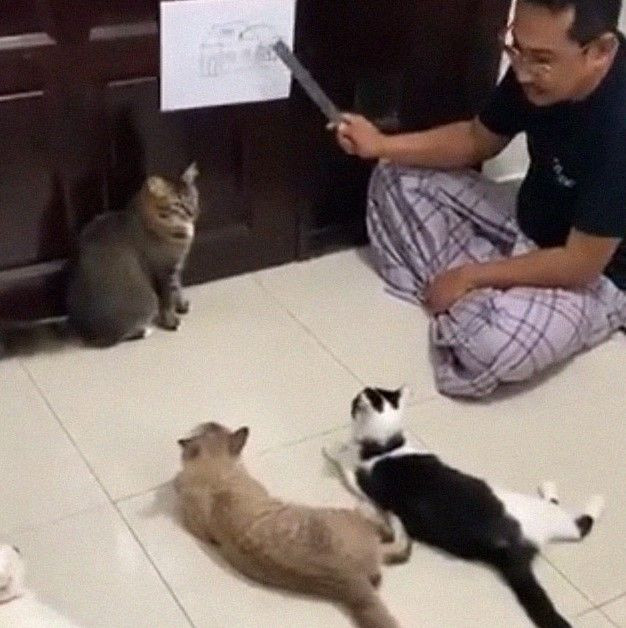 Evde olmaktan sıkılan insanların yaptıkları yok artık dedirtti! - Resim: 1