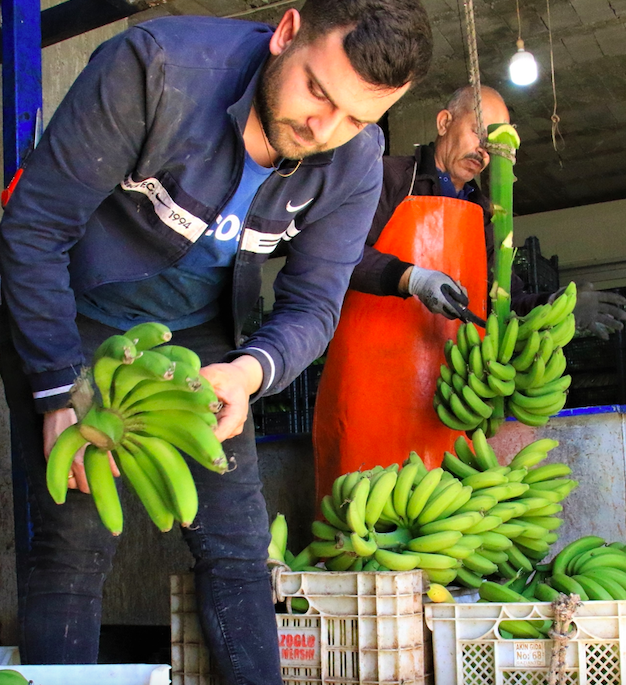 Enflasyona direnen tek meyve bir zamanlar lükstü! Şimdi tanesi patatesle aynı fiyat - Resim: 2