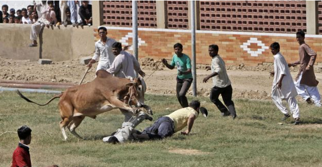 Saldırı anı saniye saniye görüntülendi - Resim: 3