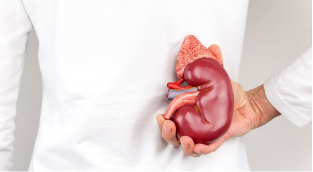 Kış aylarında böbrekleri korumak için ne yapmalıyız? - Resim: 1