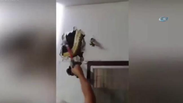 Duvardaki koca pitonu fark edebildiniz mi onlar fark edemedi - Resim: 2