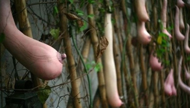 Sakın şekline aldanmayın! Bakın aslında ne - Resim: 3