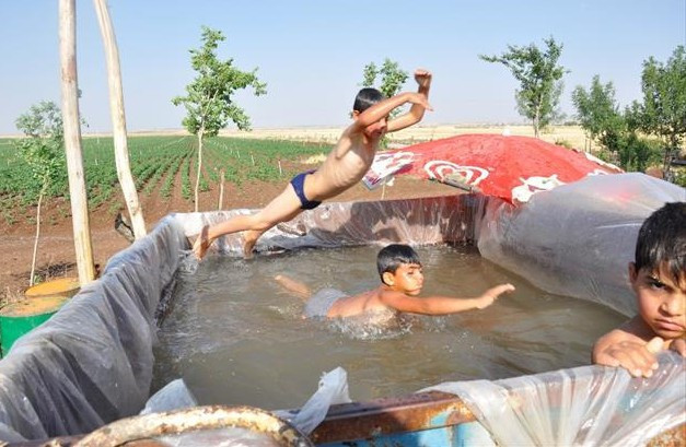 Sıcak havadan bunaldı ve öyle bir şey yaptı ki... - Resim: 1