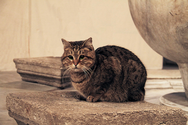 Ayasofya ona emanet... - Resim: 3