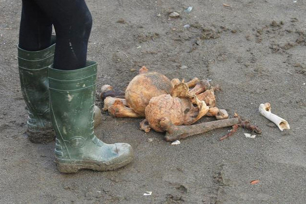 Duvarı çöktü cesetler ortalığa saçıldı - Resim: 1