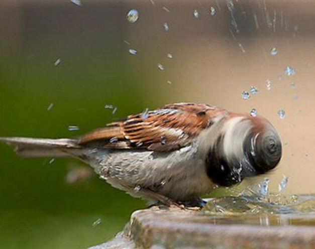 Tam o an çekilen inanılmaz kareler - Resim: 4