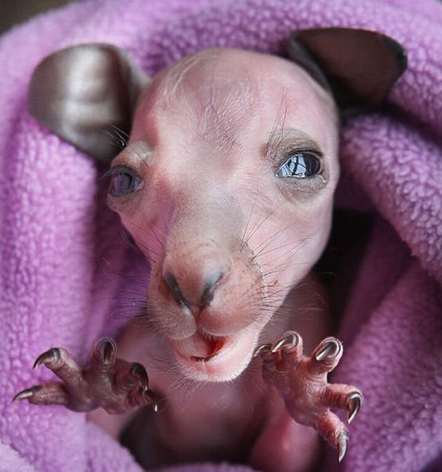 İnternetteki en bomba kareler - Resim: 4