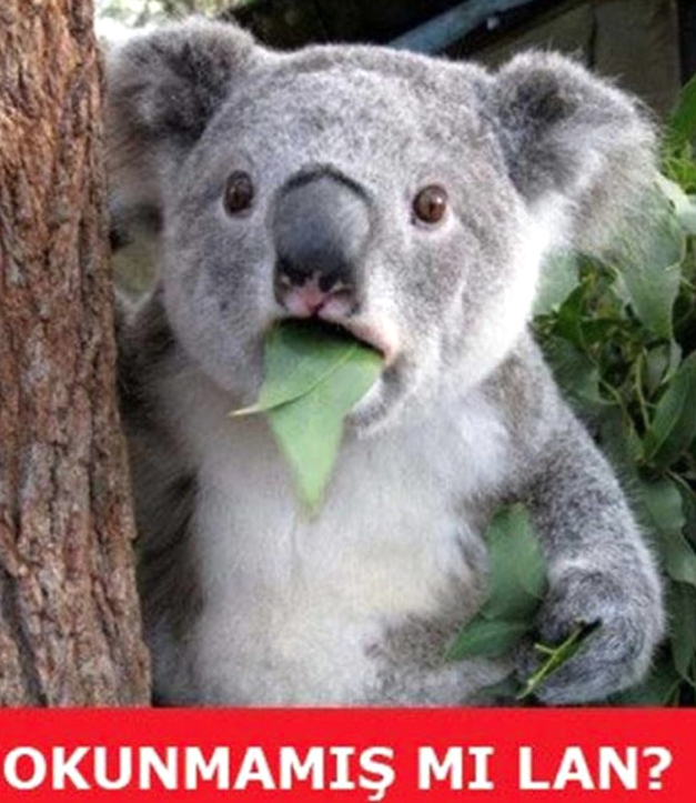 Ramazan geldi çattı öyle bri şey paylaştı ki adeta olay yarattı - Resim: 3