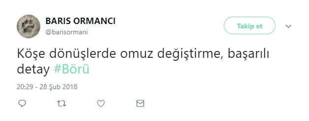 Börü dizisi beğenildi mi? İşte ilk yorumlar! - Resim: 3