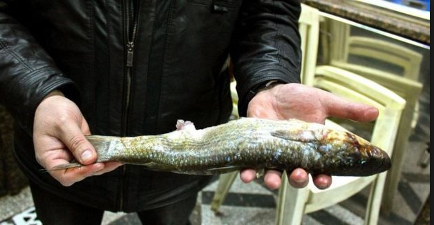 Bu gelenek firavunlara kadar dayanıyor ölüm tehlikesi var ama... - Resim: 2