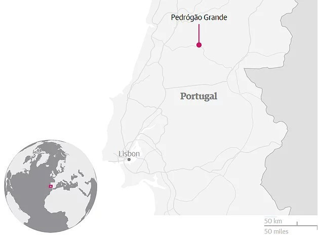 Orman Yangını: 62 kişi hayatını kaybetti.. - Resim: 1
