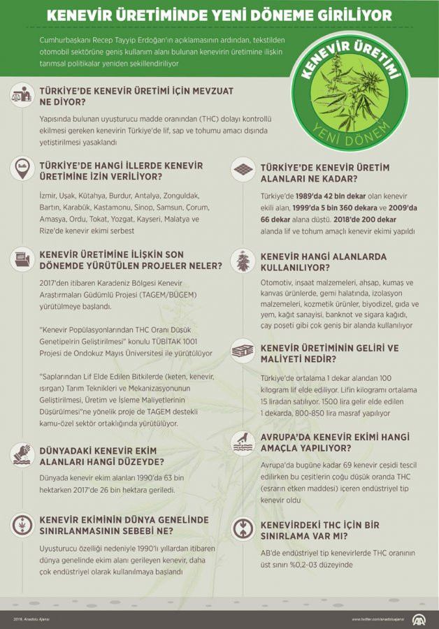 Kenevirde talepler patladı fiyatı 30 liradan bin liraya çıktı - Resim: 1