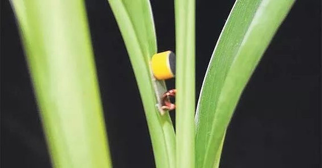 İstanbul'da sevgilisine mobbing yapan patronları müthiş bir yöntemle alt etti - Resim: 0