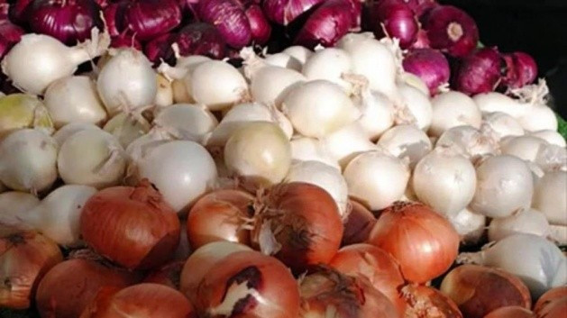 Oturma odasına soğan koyunca.. - Resim: 2