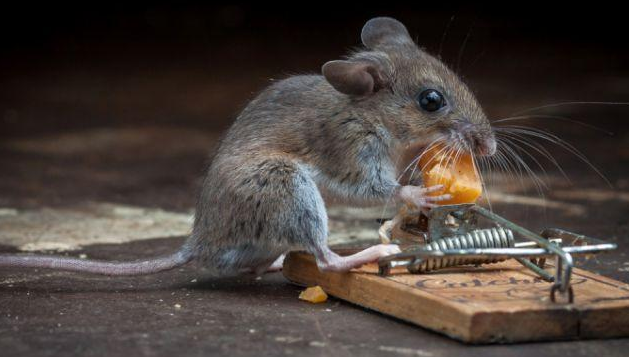 Tam o anda çekildi - Resim: 2