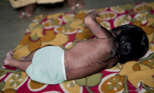 Kurt alienin yeni üyesi doğdu - Resim: 1