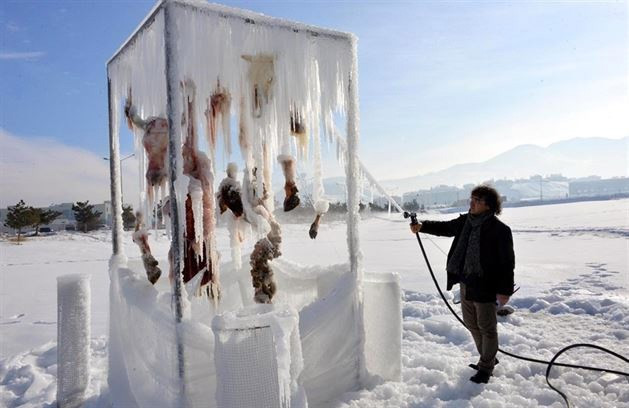 Terörü sakatat dondurup asarak protesto etti! - Resim: 2