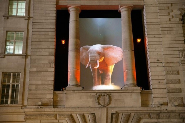 Işık festivalinden muhteşem görüntüler - Resim: 3