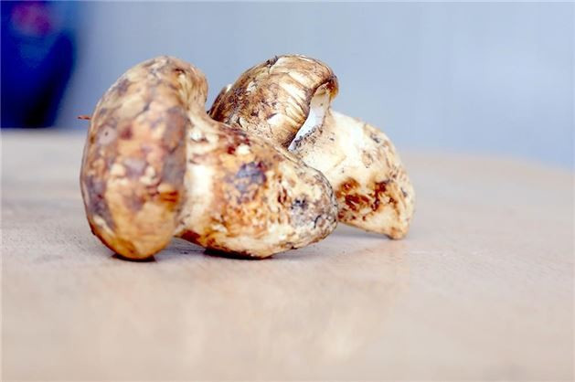 Dünyanın en pahalı yiyecekleri arasında Türkiye'de yetişiyor! - Resim: 4