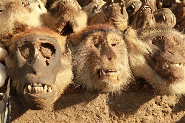 Şeytanın buradan geleceğine inanılıyor 1971'den beri sönmedi! - Resim: 2