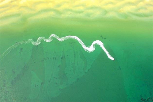 Dünyaya bir de bu gözle bakın müthiş... - Resim: 1