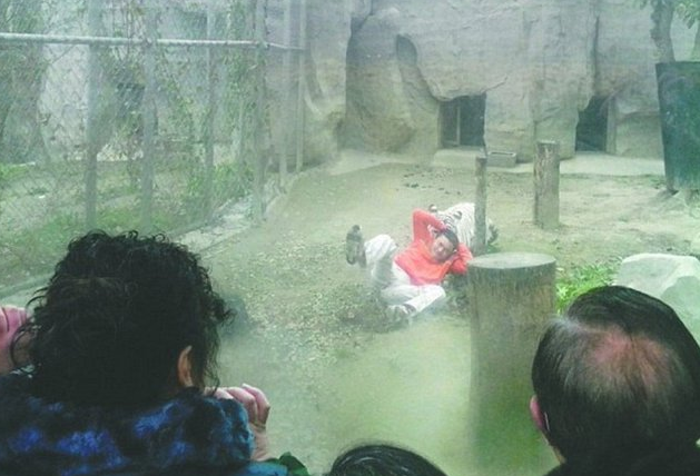 Kendini kaplanlara yem etti - Resim: 2