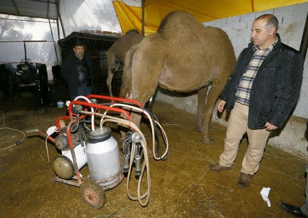 Kilosu 50 lira ama alıcısı çok - Resim: 1