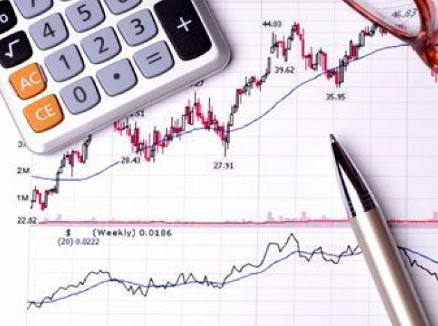 2012'nin vergi rekortmeni sanatçıları  - Resim: 1