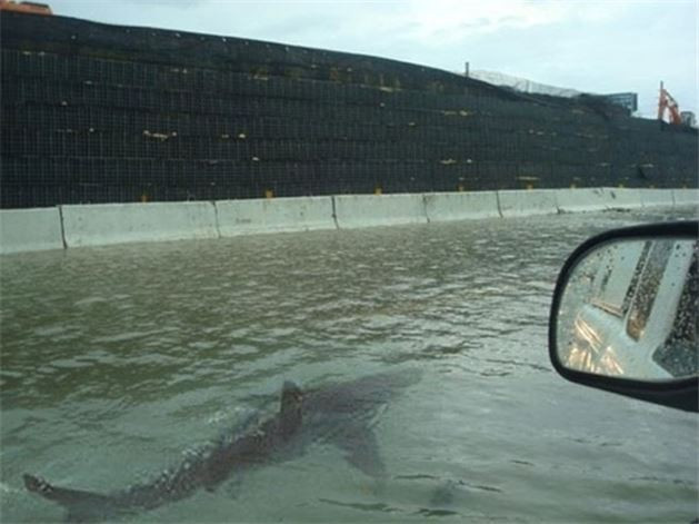 Bu fotoğraflara hala inanıyor musunuz? - Resim: 2