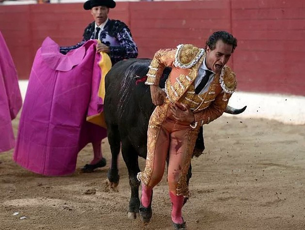 Etme bulma dünyası! Dünyaca ünlü matador boğa tarafından nasıl öldürüldü - Resim: 2