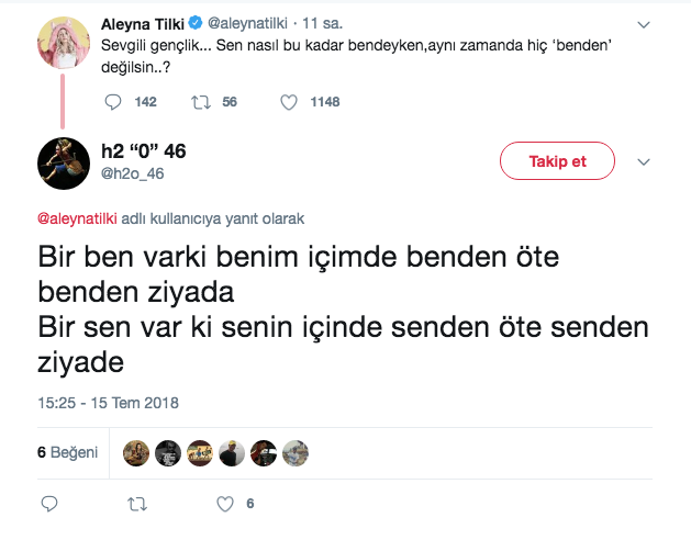 Aleyna Tilki Twitter'dan paylaştı takipçileri ne olduğunu anlamadı - Resim: 4