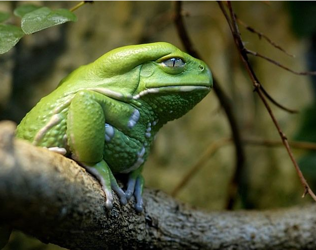 Günün bomba kareleri - Resim: 4