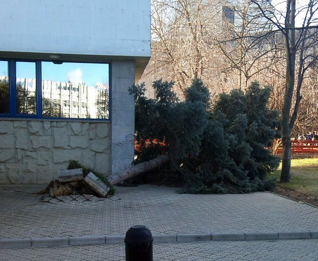 Günün tıklanma rekoru kıran kareleri - Resim: 2