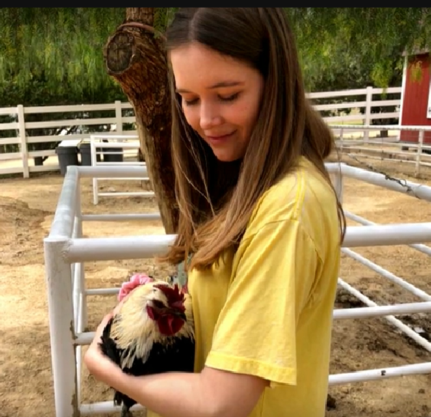 Bahamalar'da genç kız anne ve babasının gözlerinin önünde feci şekilde öldü - Resim: 3