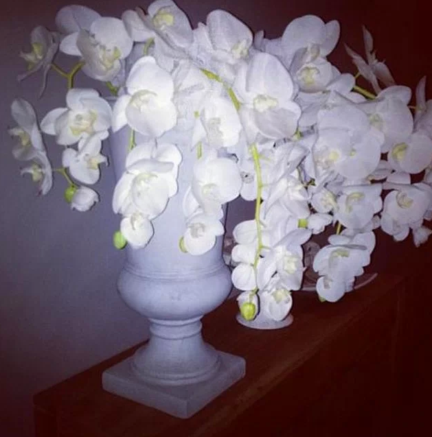 Ünlülerin Instagram fotoğrafları - Resim: 4