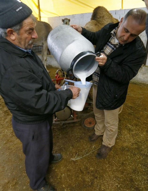 Kilosu 50 lira ama alıcısı çok - Resim: 3