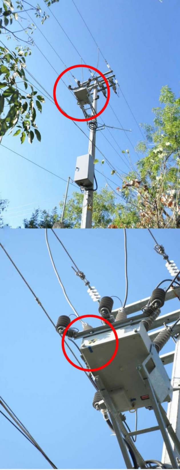 Günün en sevilen fotoğrafları - Resim: 2