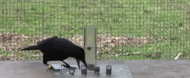 Güne hareket katacak eğlenceli kareler - Resim: 2