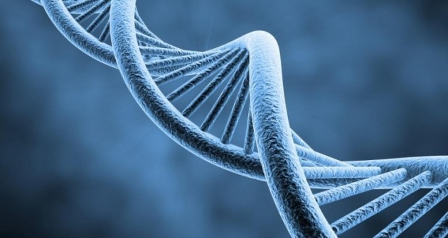 Mucize karışım bunu içen ayda 4 kilo veriyor - Resim: 1