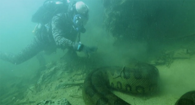 Amazon'daki dev anakondayı görüntüledi - Resim: 2