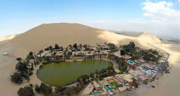 Çölün ortasında hayrete düşüren hayat - Resim: 3