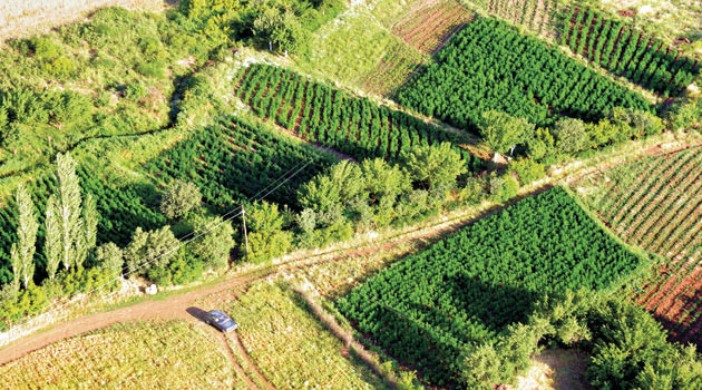İşte PKK'nın para kaynağı - Resim: 1