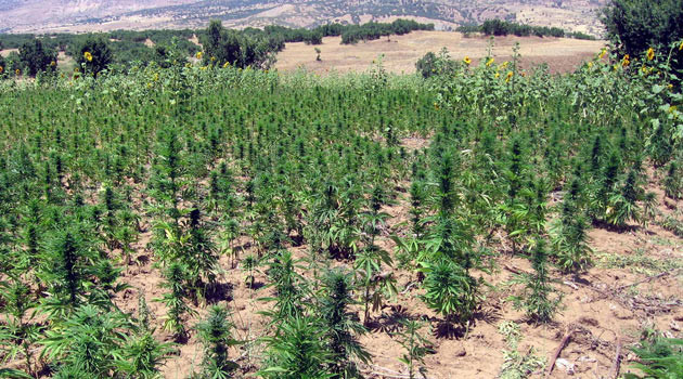 İşte PKK'nın para kaynağı - Resim: 2