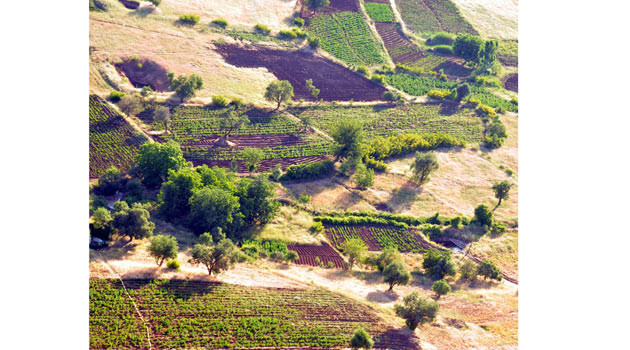 İşte PKK'nın para kaynağı - Resim: 3